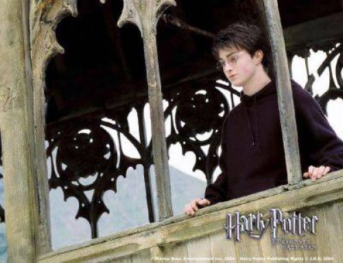 harry14.jpg
